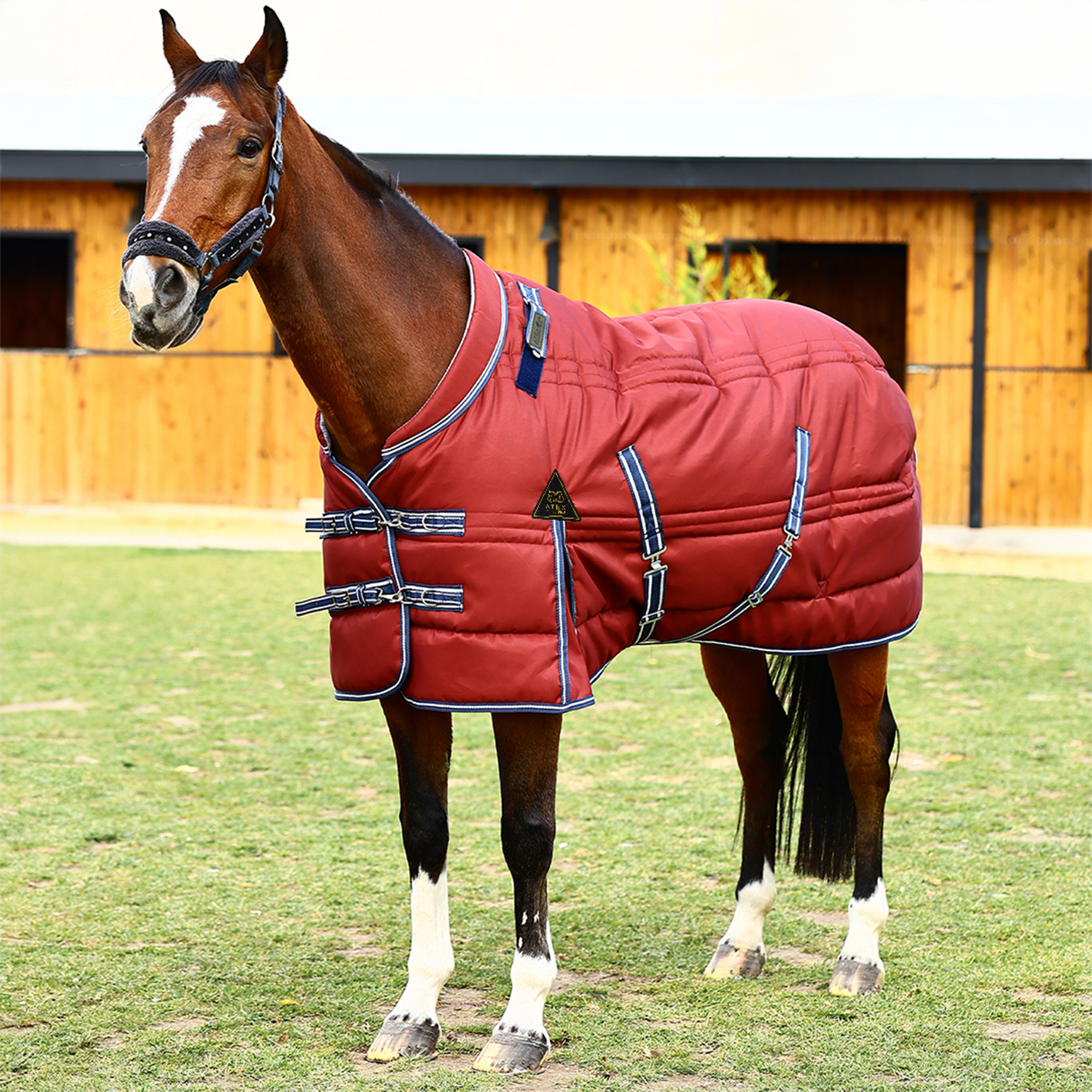 Blanket, Ahır Çulu