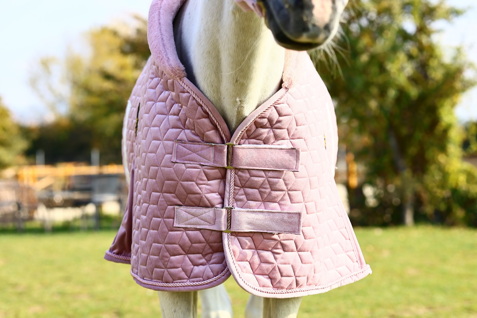 Kışlık Blanket 300 Gr Dolgulu Elyaf, Kışlık Ahır Blanketi, Kışlık Ahır Çulu Atex Luxury - Görsel 6